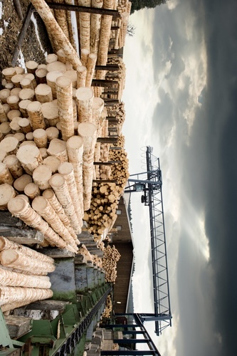 Sustainable Forests