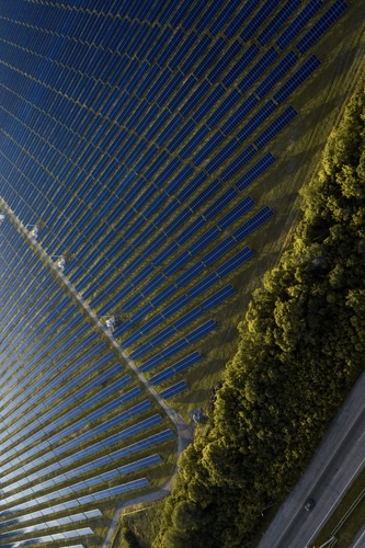 Sustainable Forests